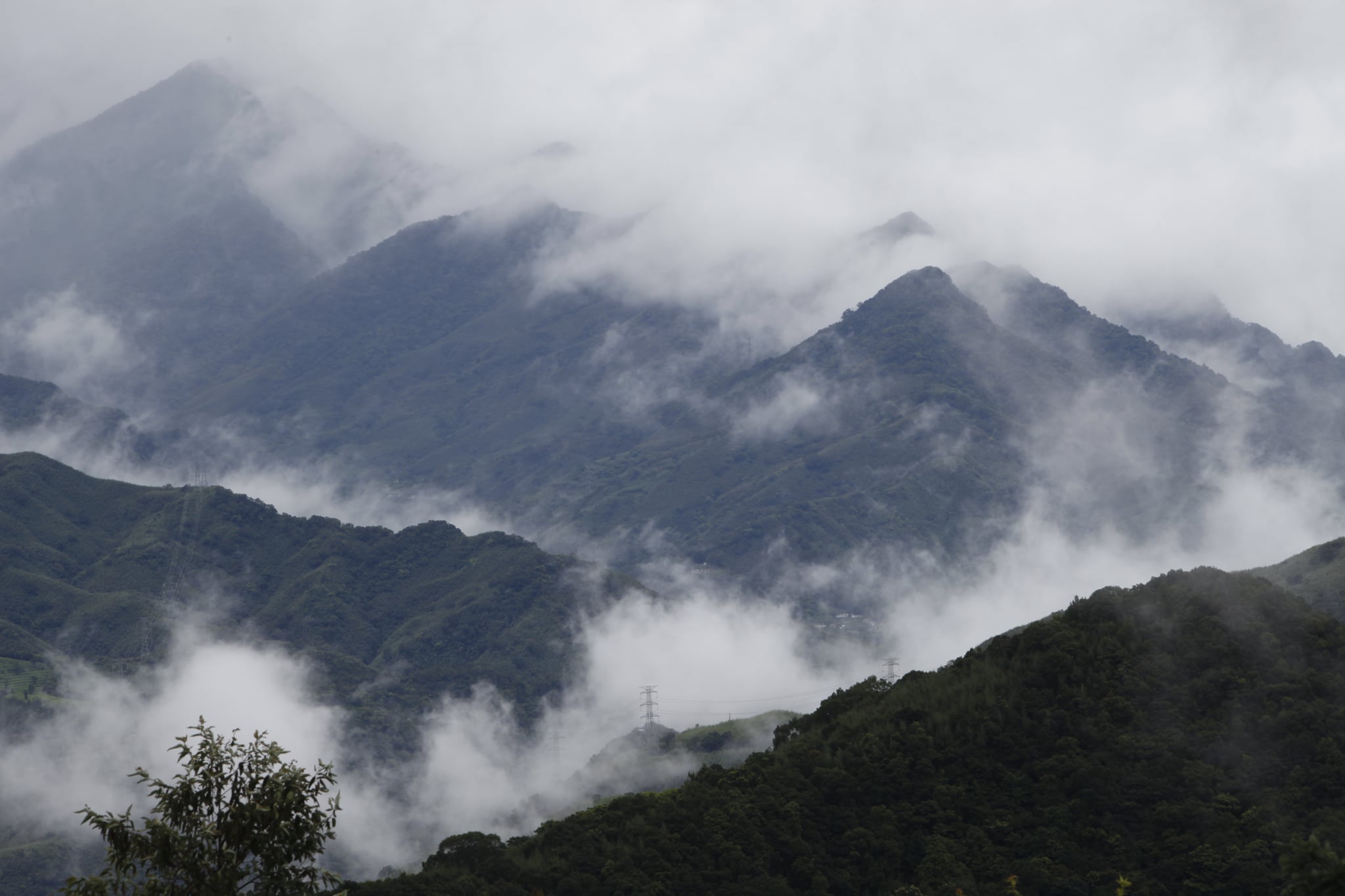 20260306東眼山生物多樣性調查春生課程