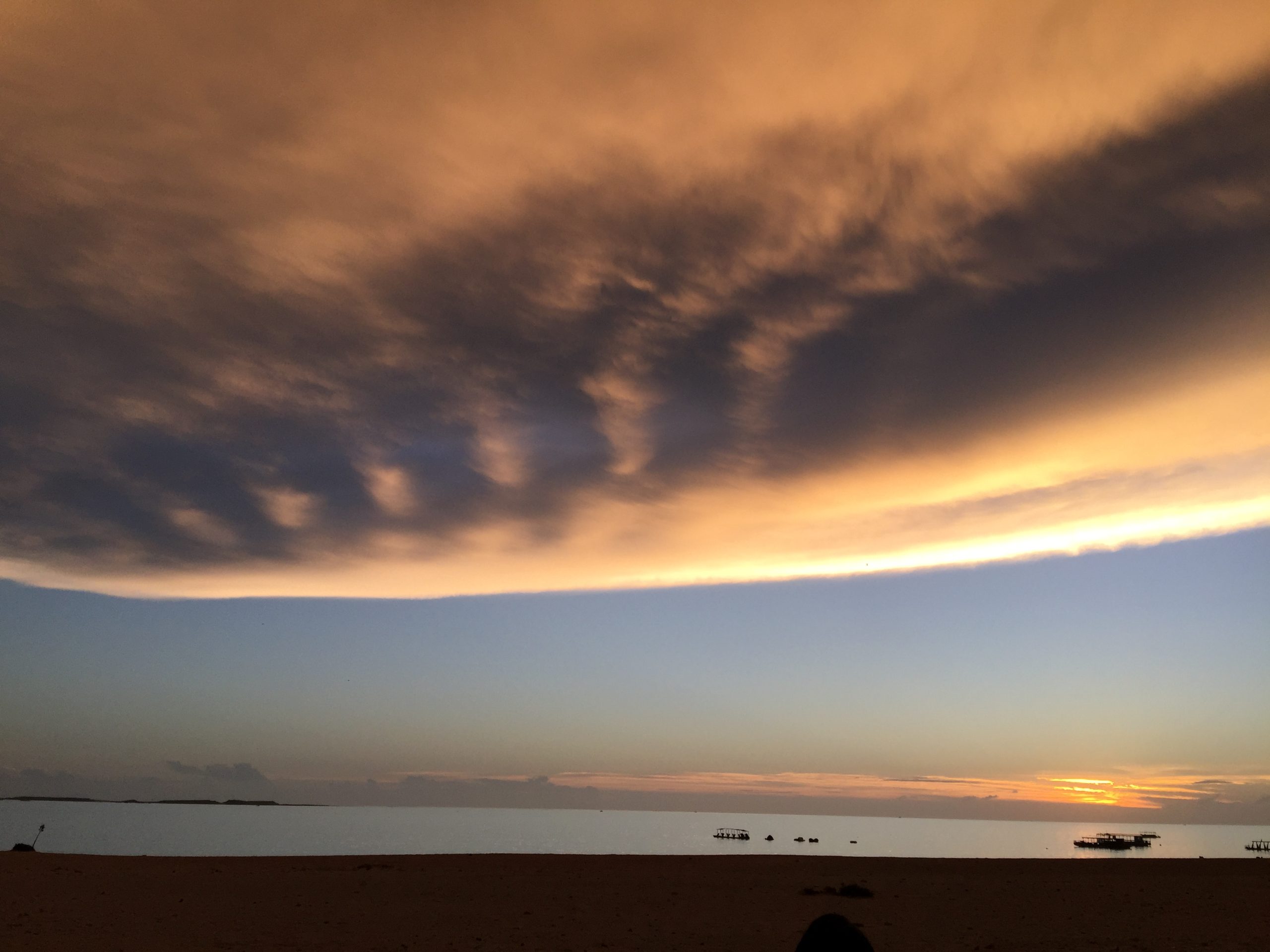 2026生態資訊營隊錄取名單與第一次報到