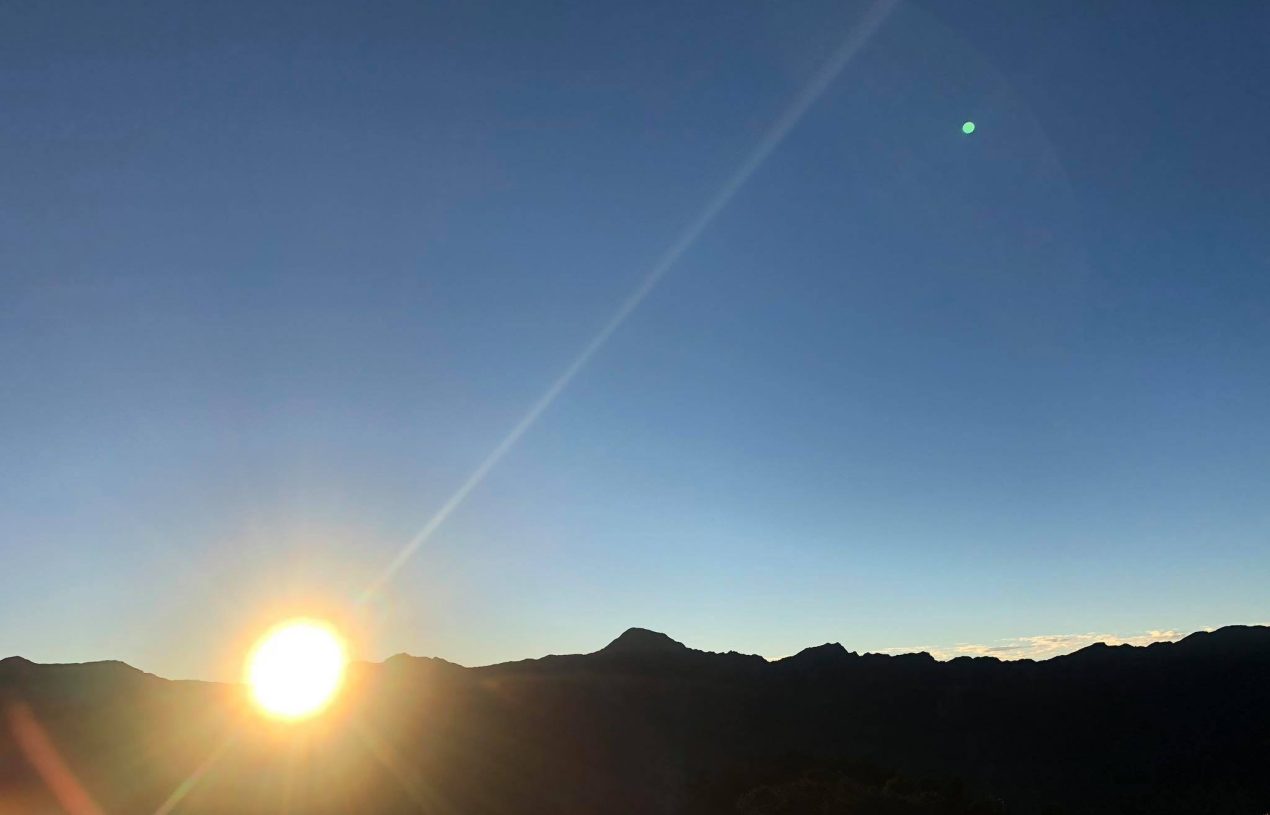 113-1 GS36 聯絡事項1115-1122［W8］