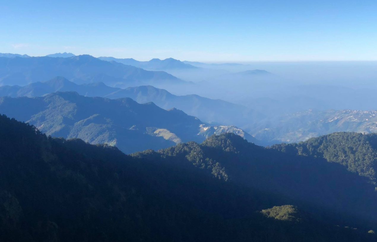 獨立研究表單填寫