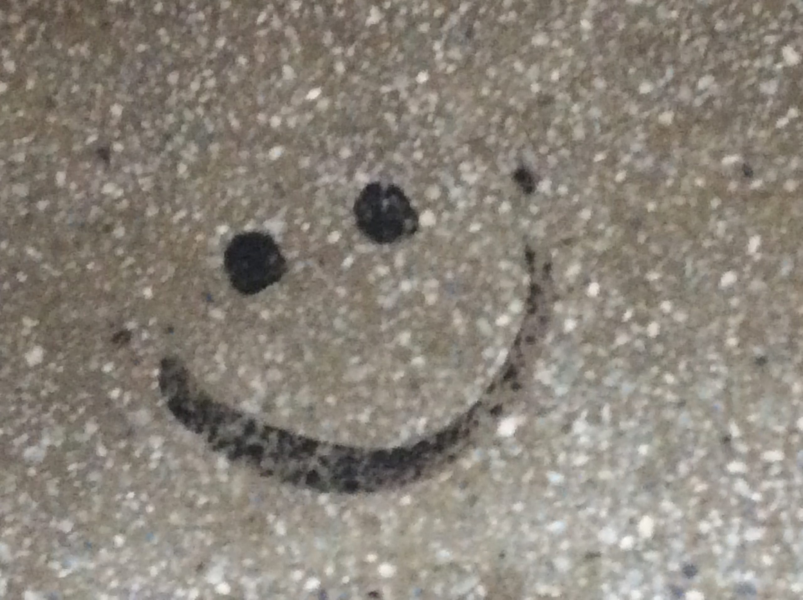 20240627暑假的祝福任務01-2024活水源之節