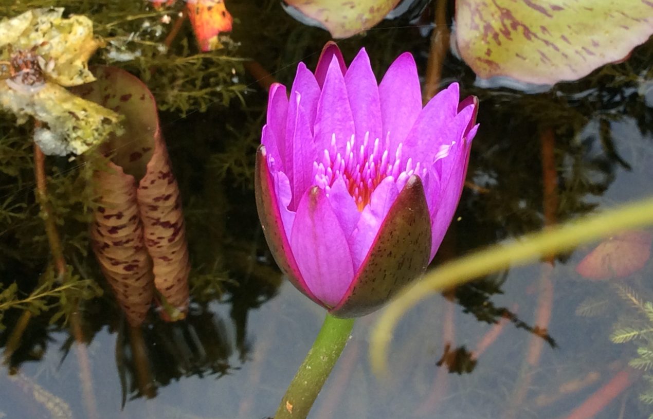 113-1 GS36 聯絡事項0909-0920［W1］